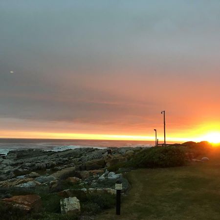 Nothing But View Lejlighed Hermanus Eksteriør billede
