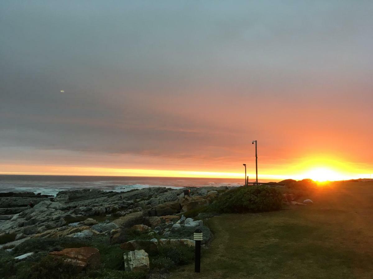 Nothing But View Lejlighed Hermanus Eksteriør billede