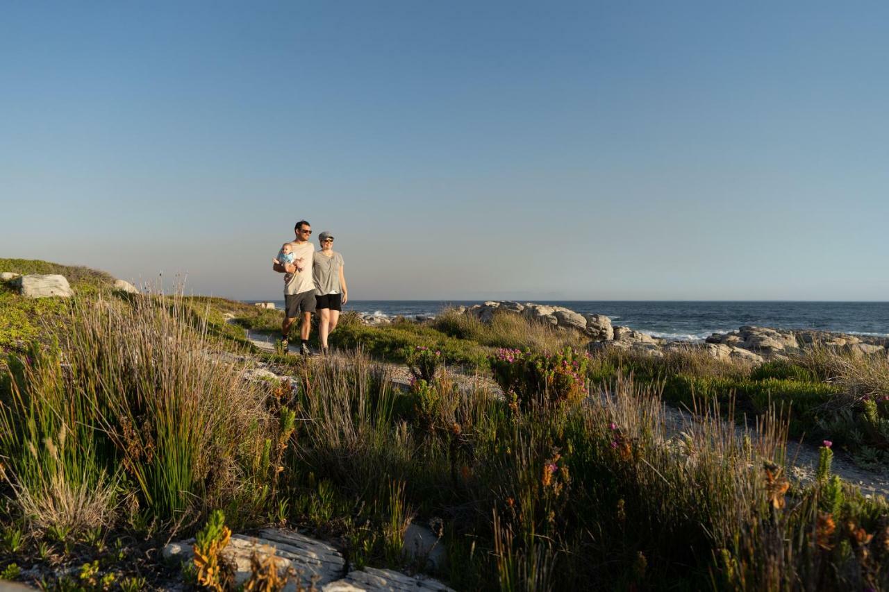 Nothing But View Lejlighed Hermanus Eksteriør billede